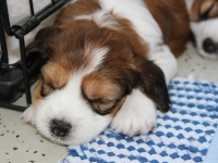 1-6-13-kuu-ja-tahdet