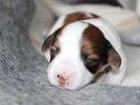 19-5-13-pikkutytto-1