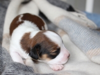 19-5-13-pikkutytto-3