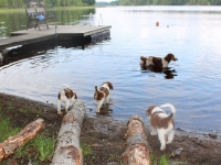 20130630_img_0753