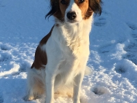 Fay toivottaa hyvää itsenäisyyspäivää