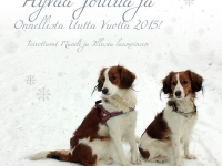 Merry Christmas and Happy New Year 2015!