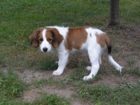 x30-7-13-mandi-0011