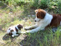 isosisko Mandin kanssa