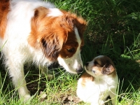 isosisko Mandin kanssa