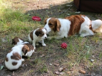 isosisko Mandin kanssa