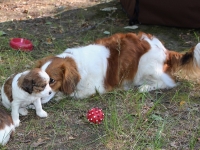 isosisko Mandin kanssa