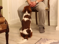 Oiva, Tarlatan Nardus Stricta