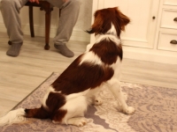 Oiva, Tarlatan Nardus Stricta