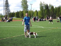 Oiva, kuva Niklas Pull