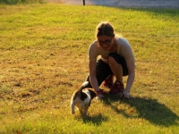 Suska, Viiru ja Tyty ilta-auringossa