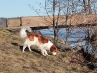 Weera, kuva Anu Pystynen