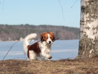 Weera, kuva Anu Pystynen