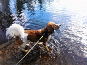 IMG-20150531-WA0010 (2)